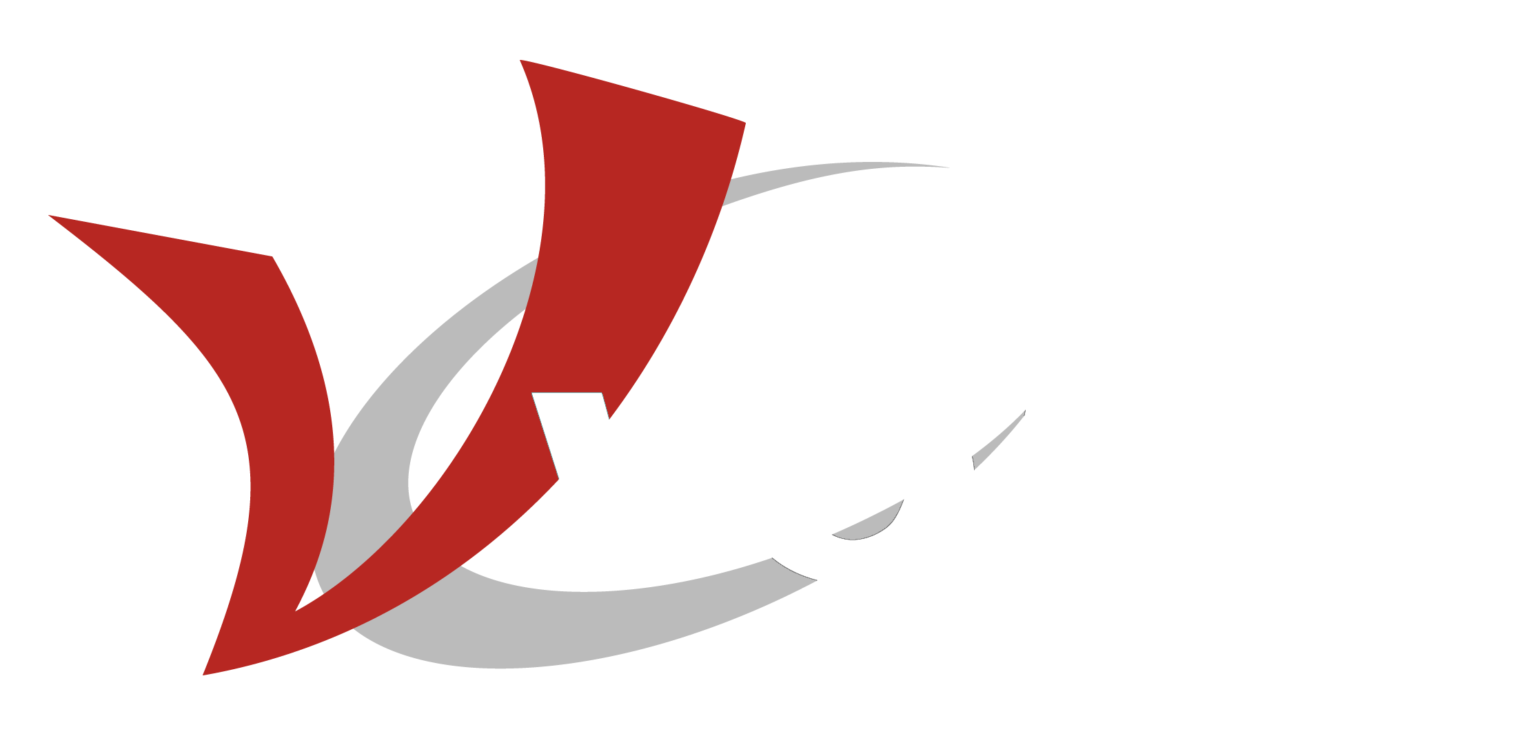 Volpi Comercial Exportadora